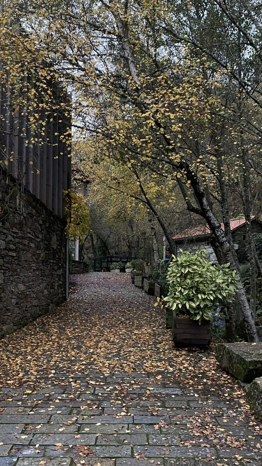 A stone-paved path covered in yellow leaves, between a stone wall and trees, with a small stone building beyond.